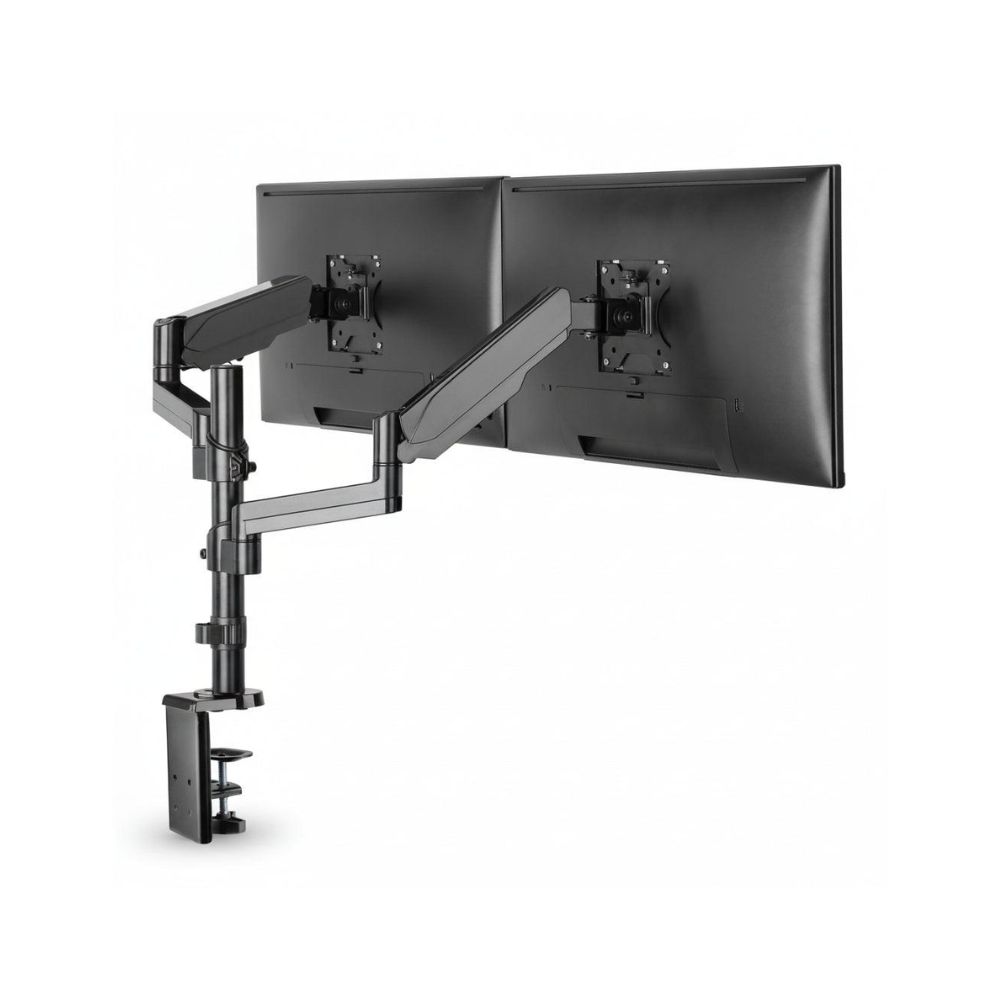 DYL-2 Monitor Mount