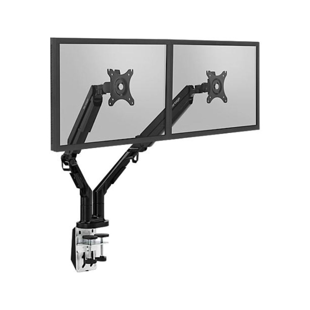 DYL-2 Monitor Mount